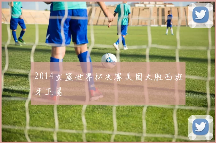 2014女篮世界杯决赛美国大胜西班牙卫冕