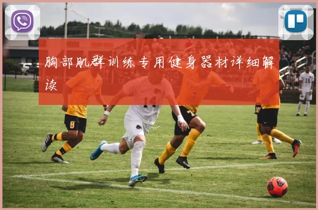 胸部肌群训练专用健身器材详细解读