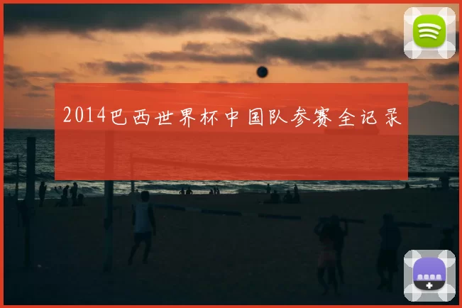 2014巴西世界杯中国队参赛全记录