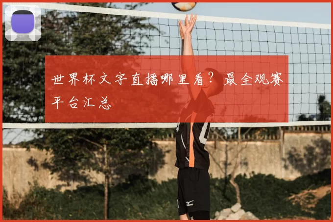 世界杯文字直播哪里看?最全观赛平台汇总