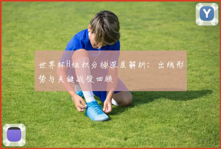 世界杯H组积分榜深度解析：出线形势与关键战役回顾