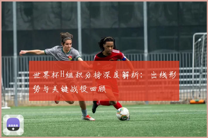 世界杯H组积分榜深度解析：出线形势与关键战役回顾