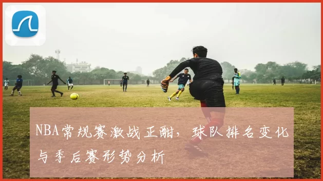 NBA常规赛激战正酣,球队排名变化与季后赛形势分析