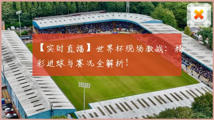 【实时直播】世界杯现场激战:精彩进球与赛况全解析!