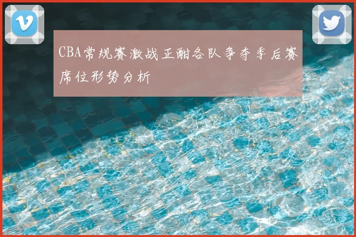 CBA常规赛激战正酣各队争夺季后赛席位形势分析