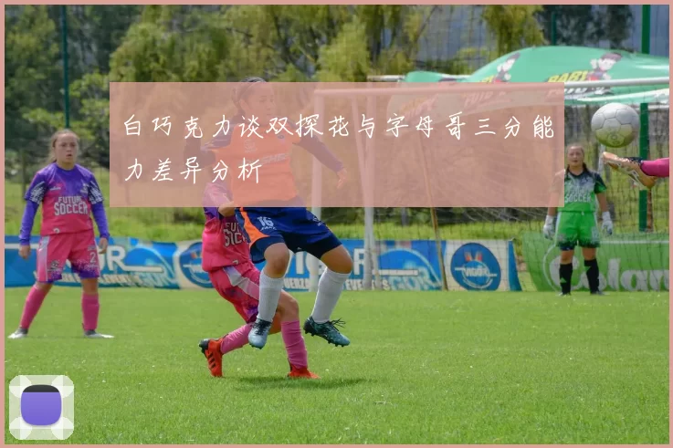 白巧克力谈双探花与字母哥三分能力差异分析