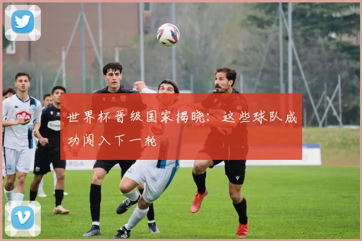 世界杯晋级国家揭晓:这些球队成功闯入下一轮