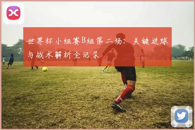 世界杯小组赛B组第二场：关键进球与战术解析全记录